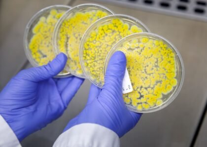 Zymofix raises €6 million to scale microbial manufacturing for agriculture