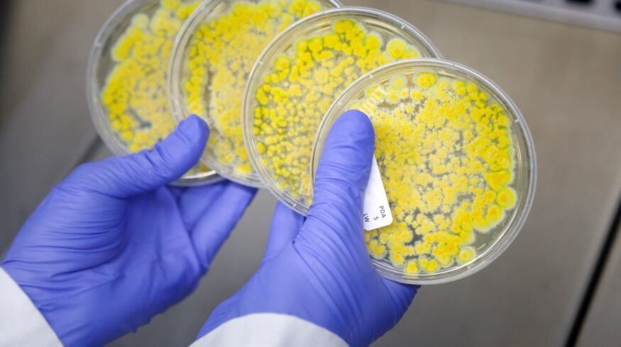 Zymofix raises €6 million to scale microbial manufacturing for agriculture