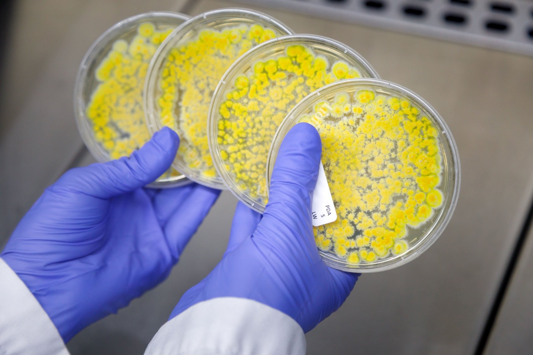 Zymofix raises €6 million to scale microbial manufacturing for agriculture